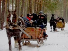Kulig w Biłgoraju