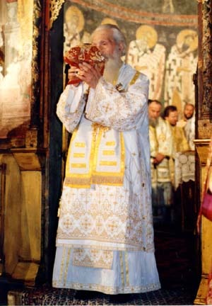 Patriarcha Paweł pozostaje zwierzchnikiem serbskiej Cerkwi