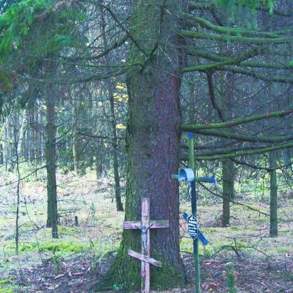 Książka o tajemniczej śmierci księdza sprzed lat