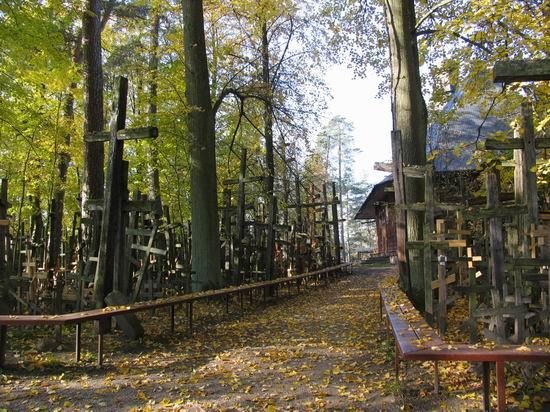 Ostatnie dni głosowania na Podlaską Markę Roku 2013