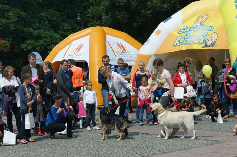 Piknik ELEOS „Sieciaki na wakacjach” już po raz drugi