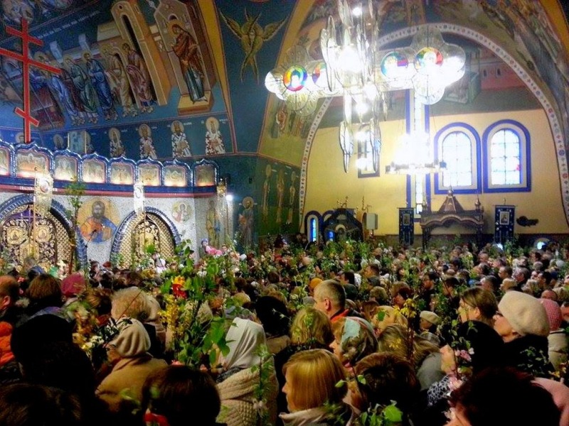 Niedziela Palmowa 2015