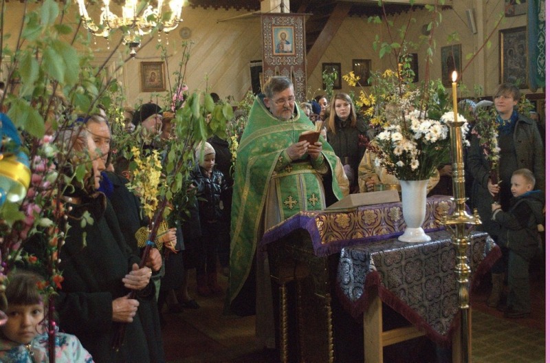 Niedziela Palmowa 2015
