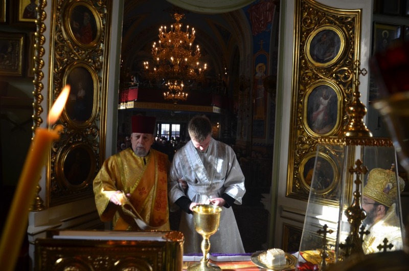 Święcenia diakońskie w katedrze
