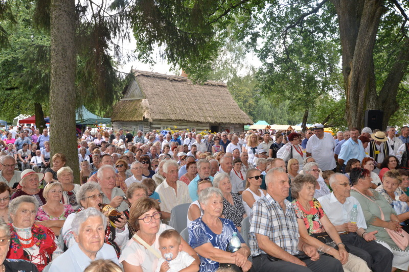 Świąteczna Hola