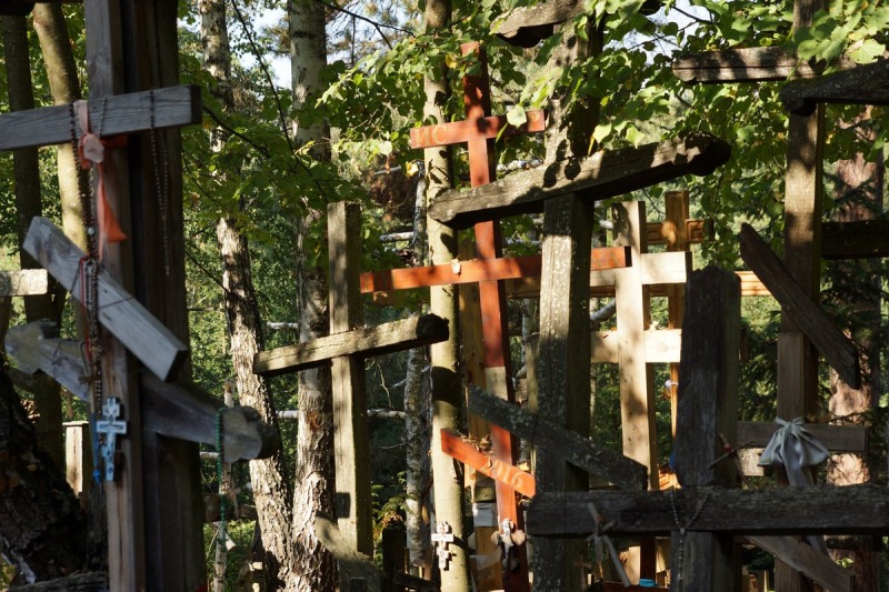 Wyjazd pod hasłem "Poznajemy siebie nawzajem"