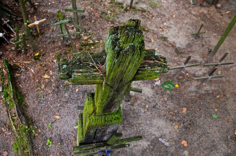 Fot. Piotr Łozowik