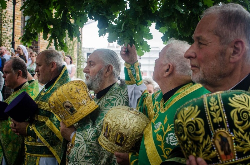 Zielony