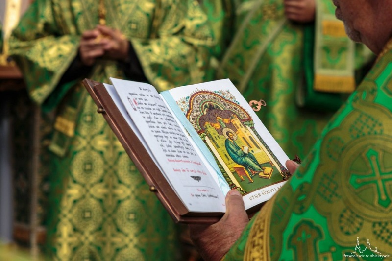 Zielony