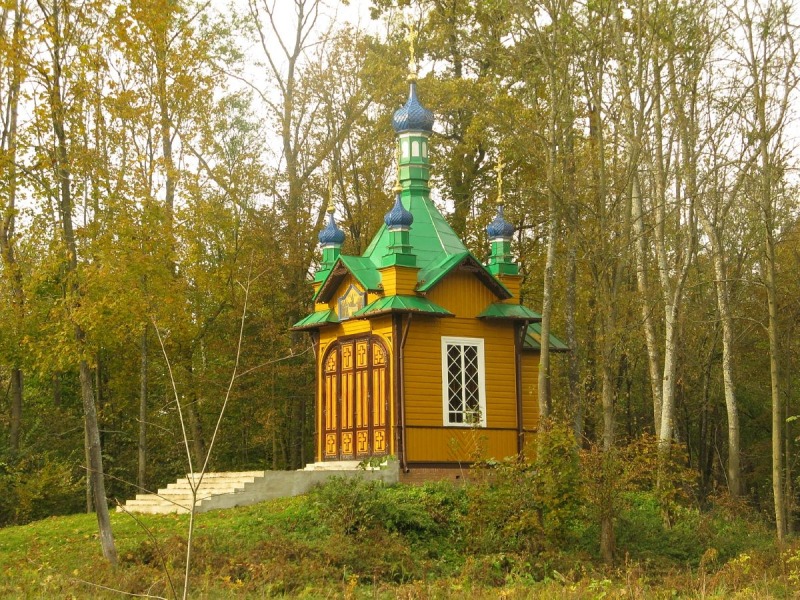 Zielony