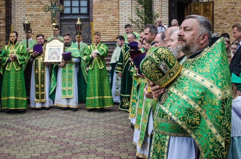 Zielony