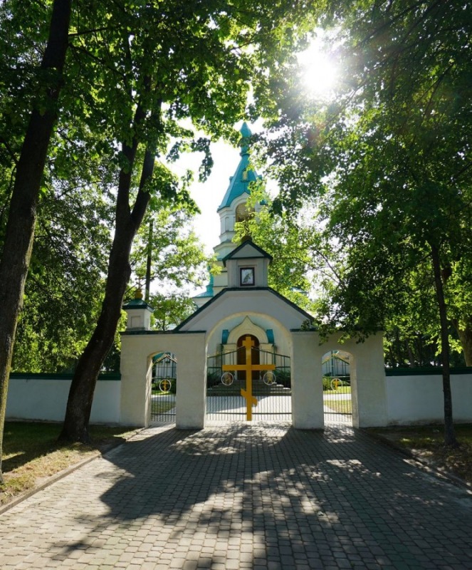O miłości do drzew