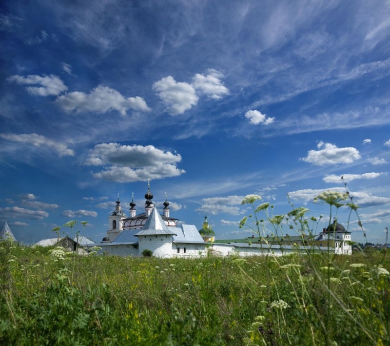 OrthPhoto Awards, nagrodzone prace #2