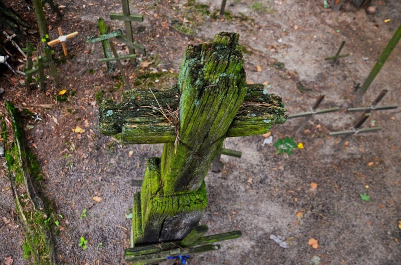 OrthPhoto Awards, nagrodzone prace #2