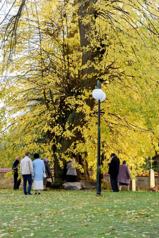 Jesień 2019 r.