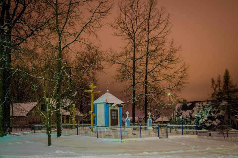 OrthPhoto Awards, nagrodzone prace #2
