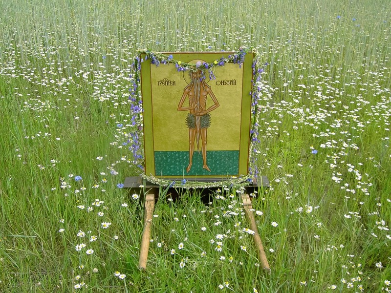 Fot. Marta Łuksza