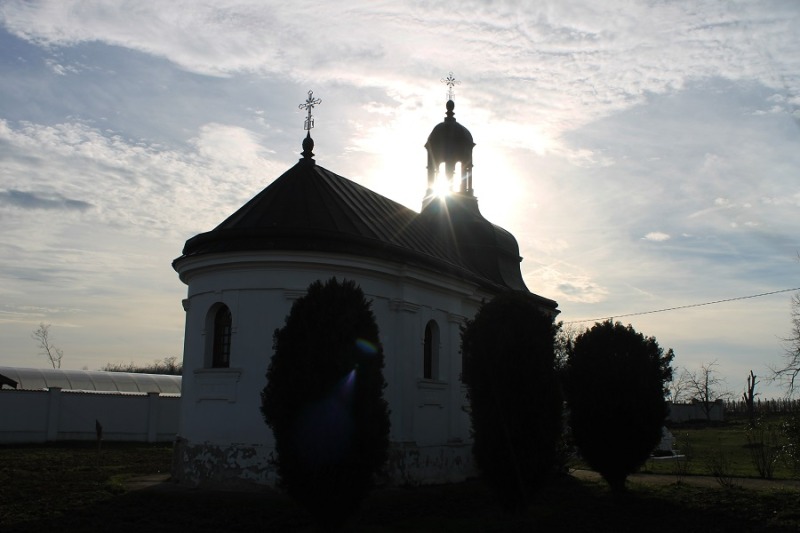 Pokonać kryzys