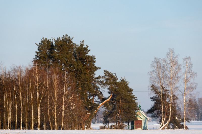 Zimowe Podlasie w obiektywie Tomasza Grzesia