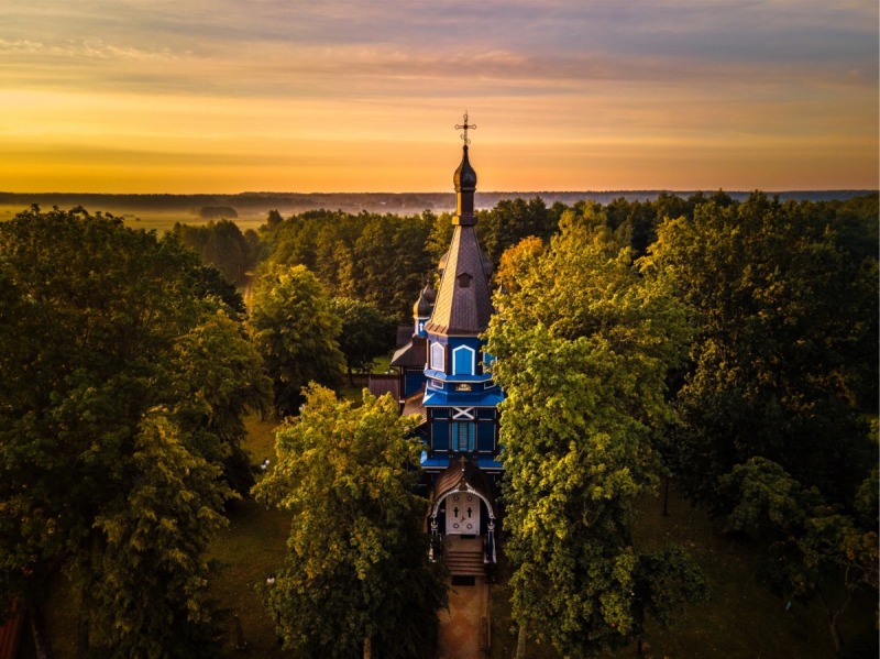 Puchły