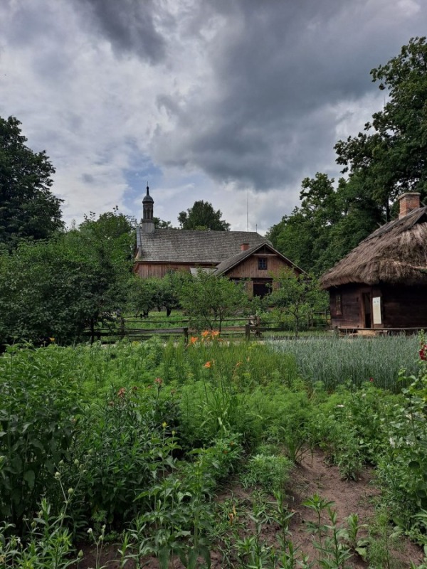 Zboża i zioła